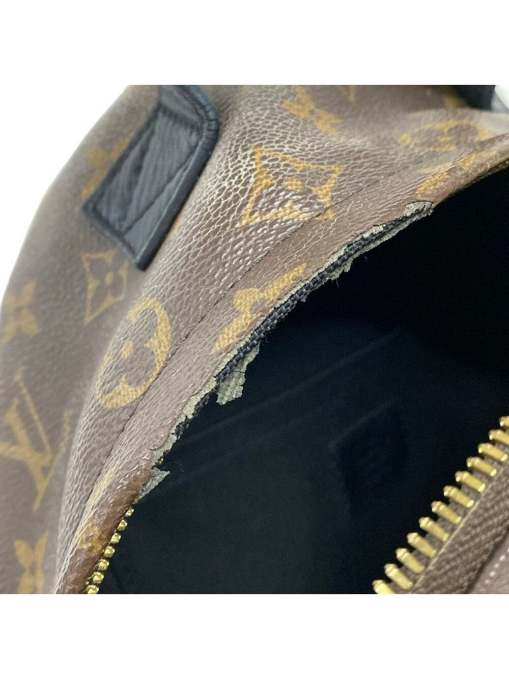 Louis Vuitton Sac Monogram Palm Springs Backpack PM - Picture 15 of 15
